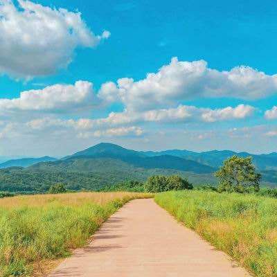 火狐体育下载app下载手机版