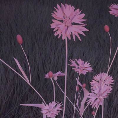 leyu·乐鱼(中国)体育官方网站