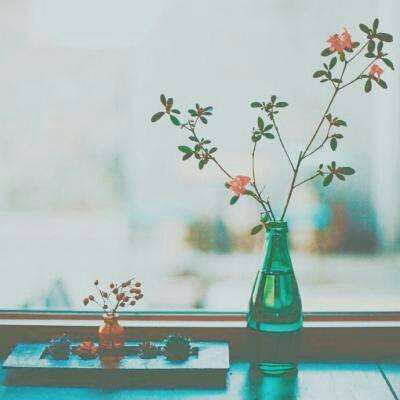 乐鱼体育官网app网页登录