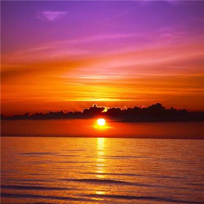 leyu·乐鱼(中国)体育官方网站截图