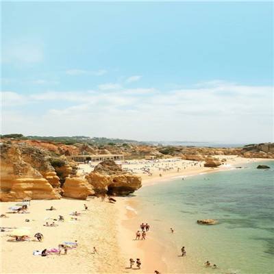 ob体育最新官网app下载