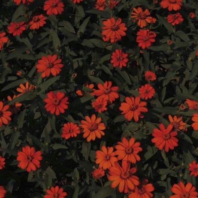 欧意app下载安装-登录入口