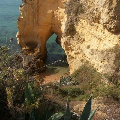 可下分电玩app下载