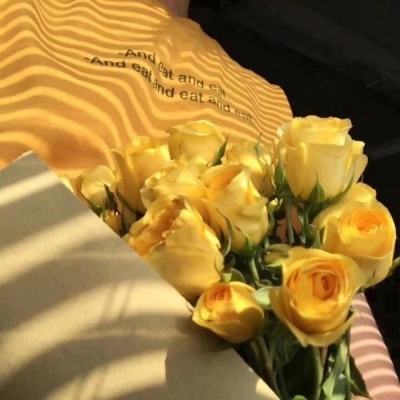 leyu·乐鱼(中国)体育官方网站截图